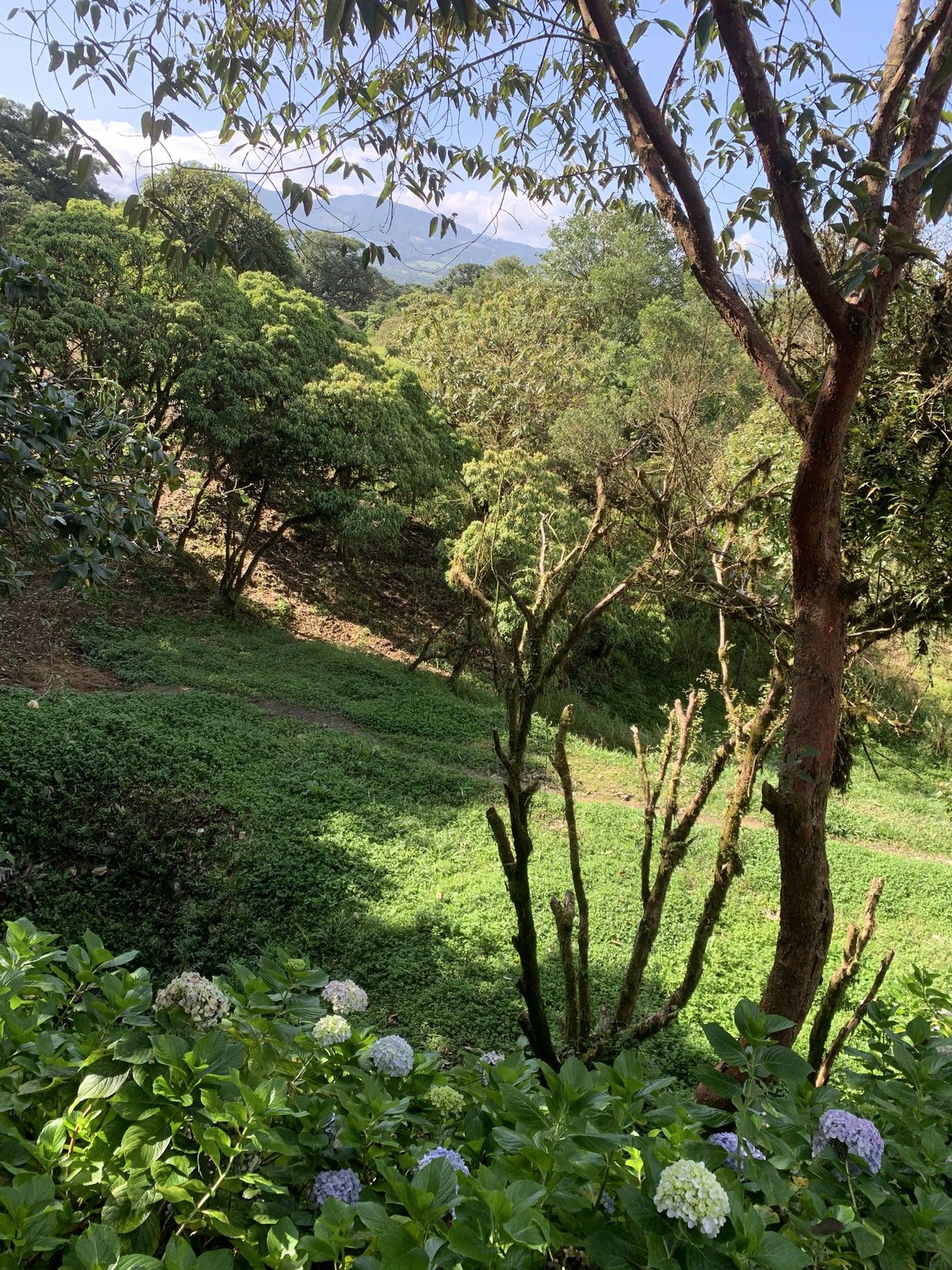Finca Ecuestre de Lujo photo 10