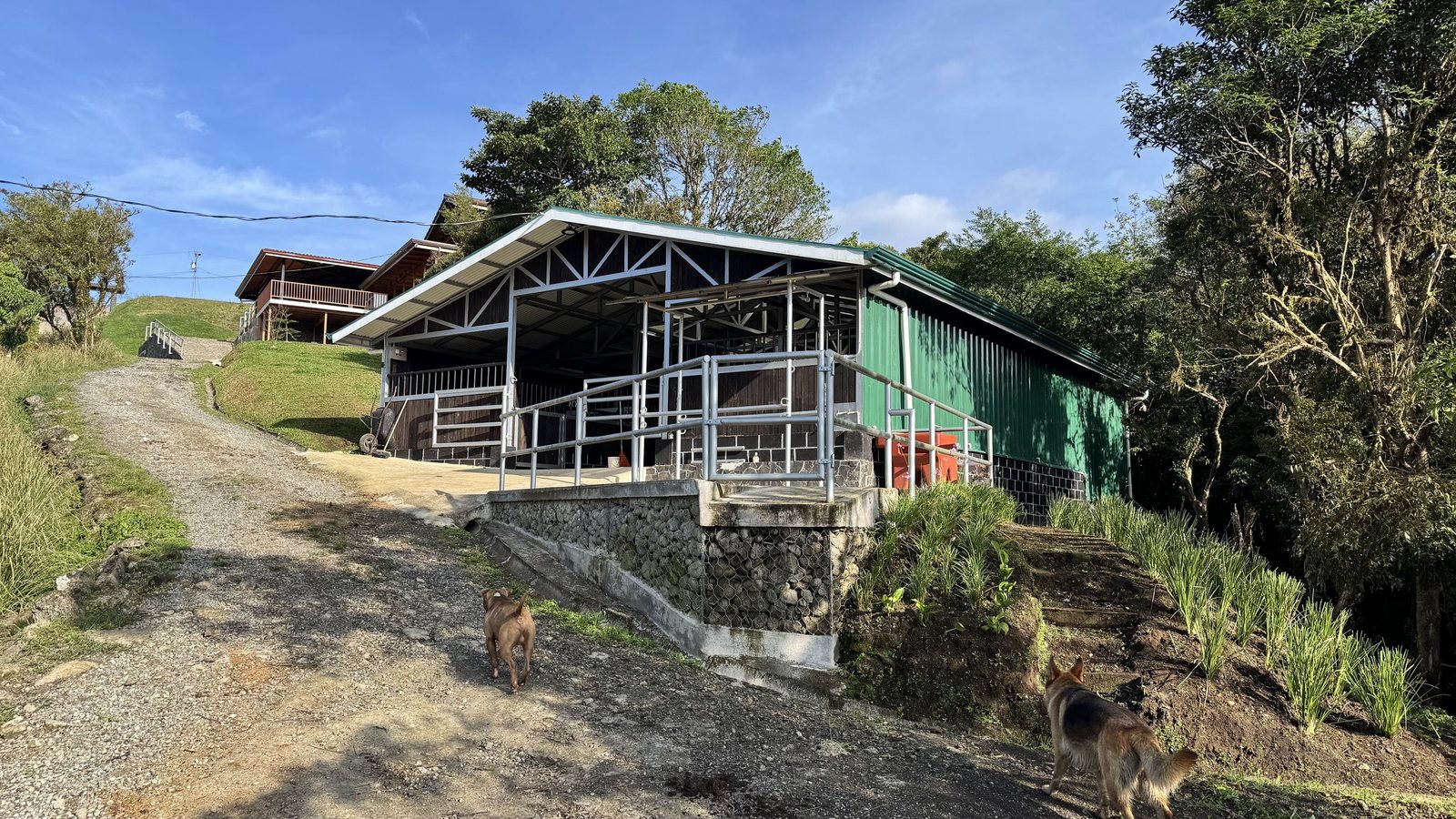 Finca Ecuestre de Lujo photo 3