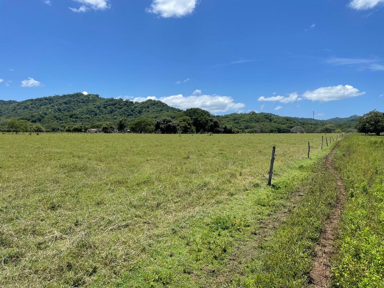 Finca Laguna de Tamarindo photo 4