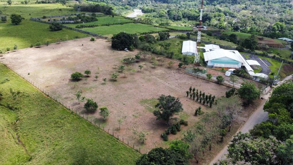 Land in Londres, Naranjito photo 2
