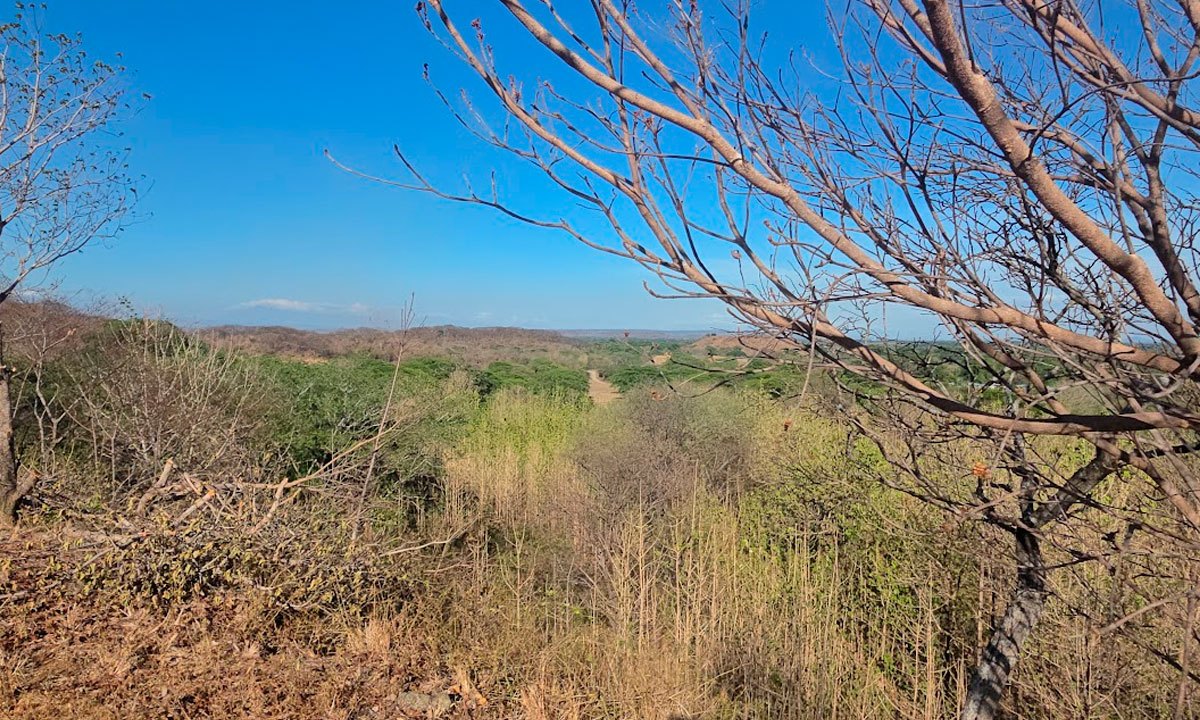 Land in Sardinal, Guanacaste photo 2